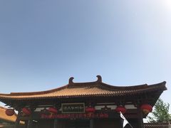 -神州牡丹园