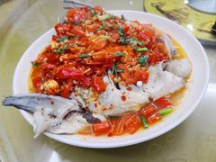 -全乐鱼馆·淳牌有机鱼直营店