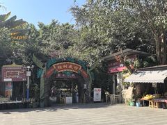 -瑞丽独树成林风景区