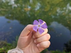-花溪公园