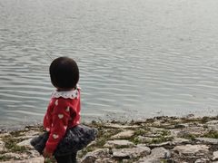 -羊山湖公园