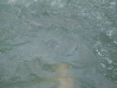 -绿岛汤泉韩式休闲会所