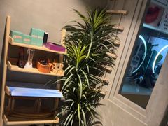 -施奈儿.洗头頭療.按摩SPA.采耳(上梅林店)