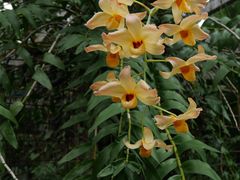 -华南国家植物园-售票处