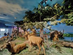 -国家自然博物馆