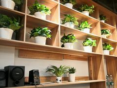 -悦动体能篮球羽毛球网球(三里河店)