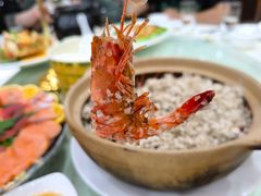 -南庄酒家·海鲜粤菜·25年老字号(环城南路店)