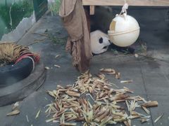 -无锡动物园·太湖欢乐园