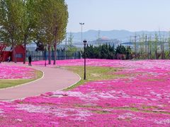 -羊亭河湿地公园