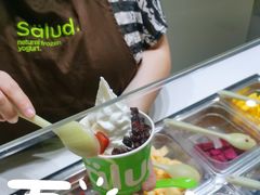 -Salud撒露欧洲冻酸奶(北苑上品店)