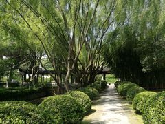 -东山风景区(洞庭东山)