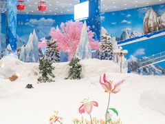 -湘江欢乐城欢乐雪域