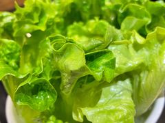罗马生菜-浩爷羊蝎子火锅(望京店)