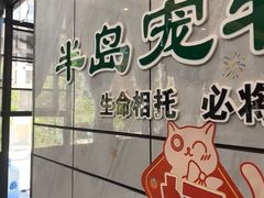 -半岛宠物医院24小时(西派城店)