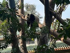-广州动物园