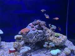 -广州海洋馆