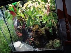 -繁花足道(梅江店)