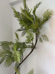 -小梨·OndaPro·专业脱毛连锁机构