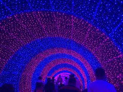 -大塘金香草谷