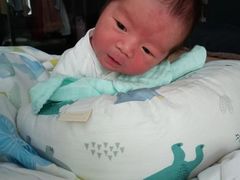 -贝贝乐自营月嫂育儿嫂中心