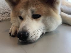 -YCHL Studios健身工作室(市二宫店)