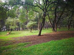 -长春市南湖公园