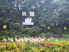 -广州长隆飞鸟乐园