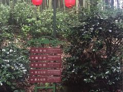 -杭州黄龙洞