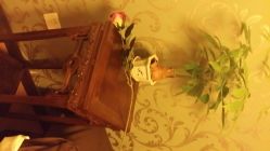 android_upload_pic-脉道美容养生会所