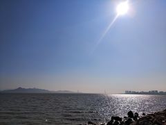 -深圳湾公园(南山区)