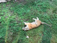 -西安秦岭野生动物园