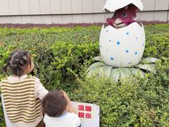 -中国西峡恐龙遗迹园