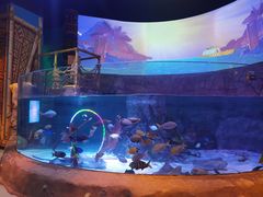 -沈阳海洋探索中心