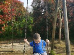 -武汉紫薇都市田园