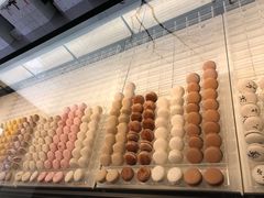 -BLACKSWAN黑天鹅(环球店)