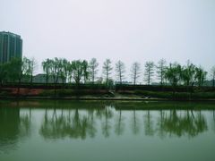 -南翔镇银翔湖公园