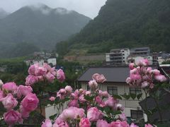 -龙峪湾国家森林公园