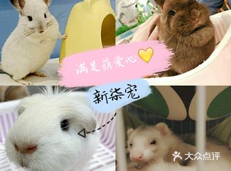 春日遛娃快带宝贝看宠物