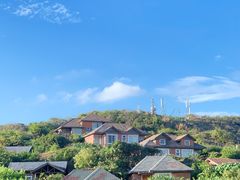 -杨梅坑
