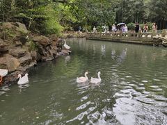 -兰亭风景区