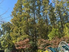 -徐家汇源景区-衡山公园