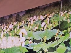 -在莲野·湖北民间菜·头牌松滋鸡(光谷步行街店)