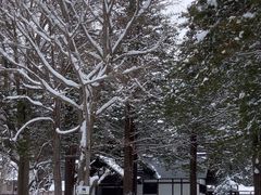 -北海道神宫
