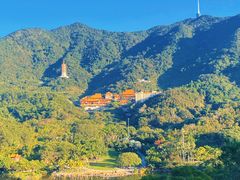 -深圳仙湖植物园