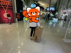 -泡泡玛特POPMART(凯德大峡谷店)