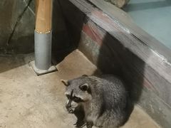 -顺德南宏海立方海洋公园
