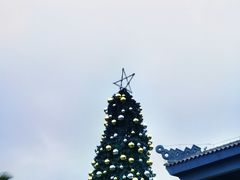 -海南清水湾莱佛士酒店