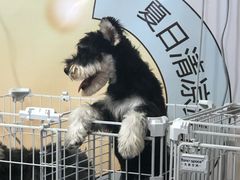 -杭州西湖银泰百货