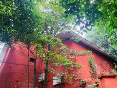 -南山植物园