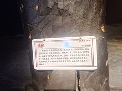 -岳阳市博物馆
